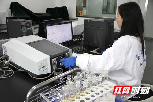 常德水文中心推出灌區水質監測服務，水資源管理網絡技術再添新翼